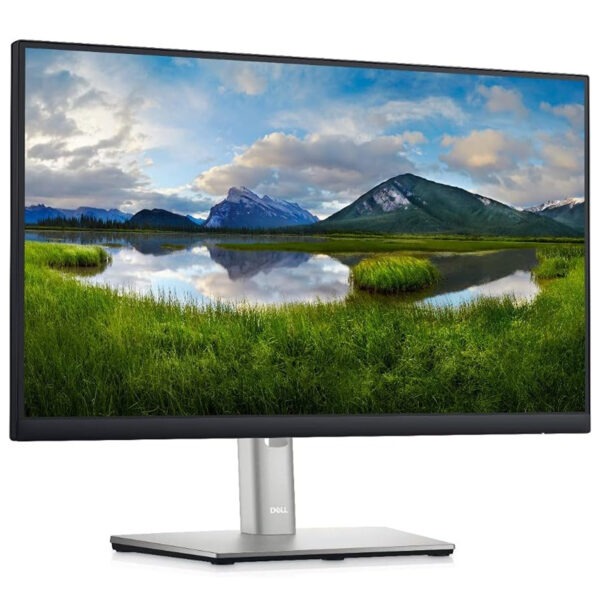 Monitor DELL P2222H de 21,5"